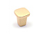 Ручка мебельная, кнопка GASPAR RC022MBSG.4, матовое золото, Boyard