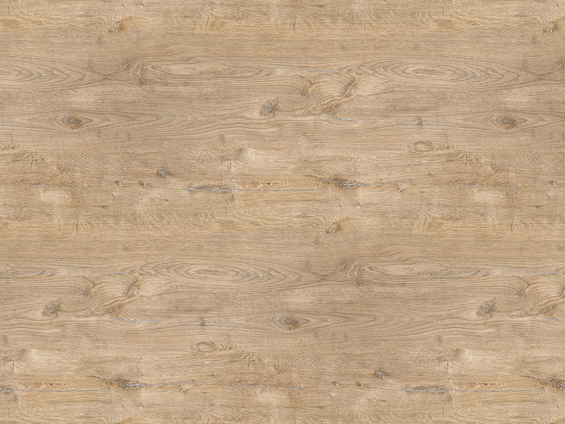Tacoma Oak