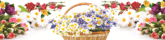 Букет (№006).png