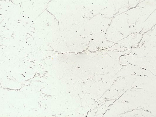 Столешница 3000х600х38 Мрамор Марквина белый 3028/S (3 группа), АМК-Троя