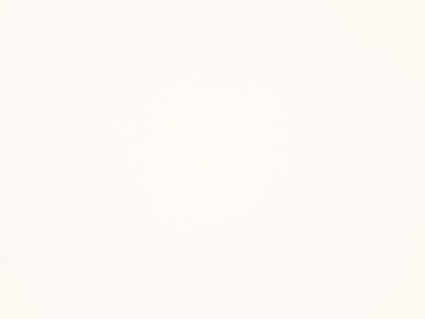 Пластик компенсационный FENIX 3050х1300х1 0001 Bianco (29)