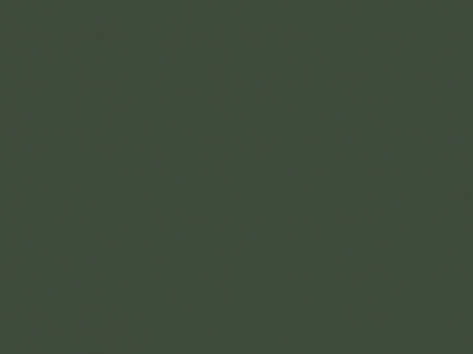 БСП FENIX 3050х1300х0,9 Verde Comodoro 0750, NTM