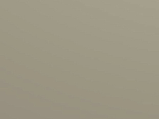БСП 3050×1300×0,6 3151 TOUCH, PF, GENTAS