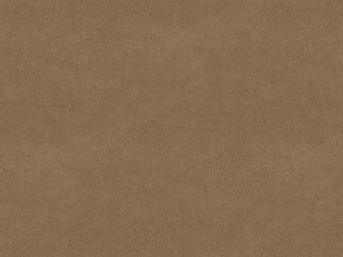 Кромка ABS, 0,8x19 мм, без клея, F323 ST20 Кобра бронза К, EGGER