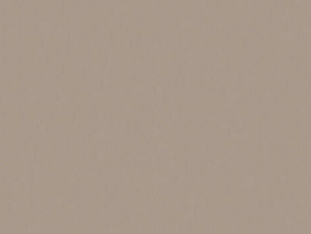 Кромка ABS, 0,4x19мм., без клея, серый камень U727 ST9, EGGER