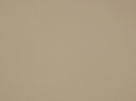 БСП FENIX 3050х1300х0,9  Beige Luxor 0719, NTM