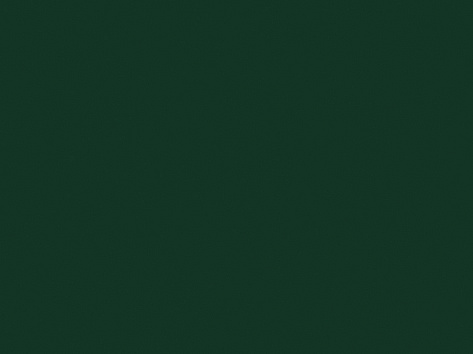 БСП 2800х1310х0,8  Зелёный лес U606 ST9, Гр.L3, Egger
