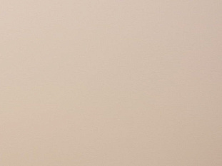 Панель 16х1220х2800 Капучино - MINK (P103) (EVOGLOSS,МДФ),A1