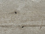 Стеновая панель 3000х600х06 Метрополитан 2046/S (2 группа), АМК-Троя