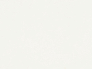 ЛМДФ 2800х2070х19 двустор.белая W960 SM ST, KEL,Egger