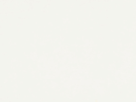 ЛДСП 2800х2070х10 Белый классический W960 SM гладкий, Гр.1, Egger