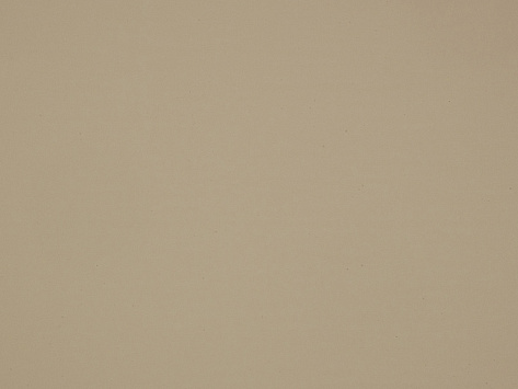 Пластик компенсационный FENIX 3050х1300х1 0737 Beige Atlantide (719)