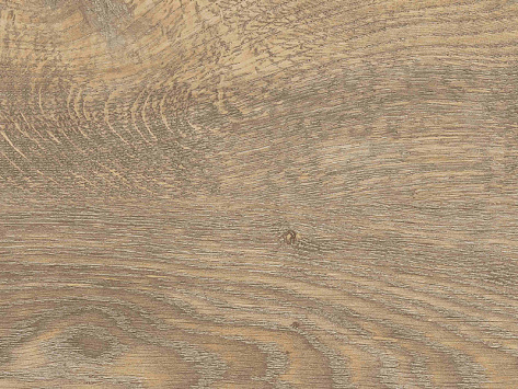 Плита TSS 18х2070х2800 7249 Nevada Oak, EAr, duco, Slotex