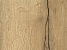 Стеновая панель двухсторонняя 4100х640х8 H1180 ST37 Дуб Галифакс натуральный  : W908 ST37 Белый базовый , Гр.4 Филвуд, Ш, Egger