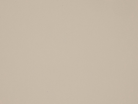 БСП Arpa 3050*1300*0,7 мм LU-0225STD темно-кремовый(глянец)