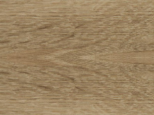 Кромка  Дуб немецкий  - GERMAN OAK (P313) EVOGLOSS  0,8х22 мм