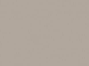 БСП FENIX 3050х1300х0,9 Beige Arizona 0748, NTM, ARPA