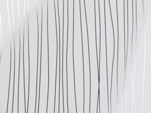 Кромка  Белая линия - STRIPPED WHITE(P200) EVOGLOSS  1х22 мм