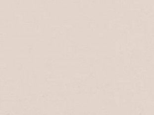 Кромка  Кремовый - CREAM (P102) EVOGLOSS  1х22 мм