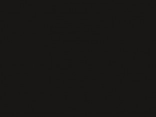 Панель 18х1220х2800 Матовый черный - Soft Touch Black (P006) (EVOGLOSS,МДФ), A1
